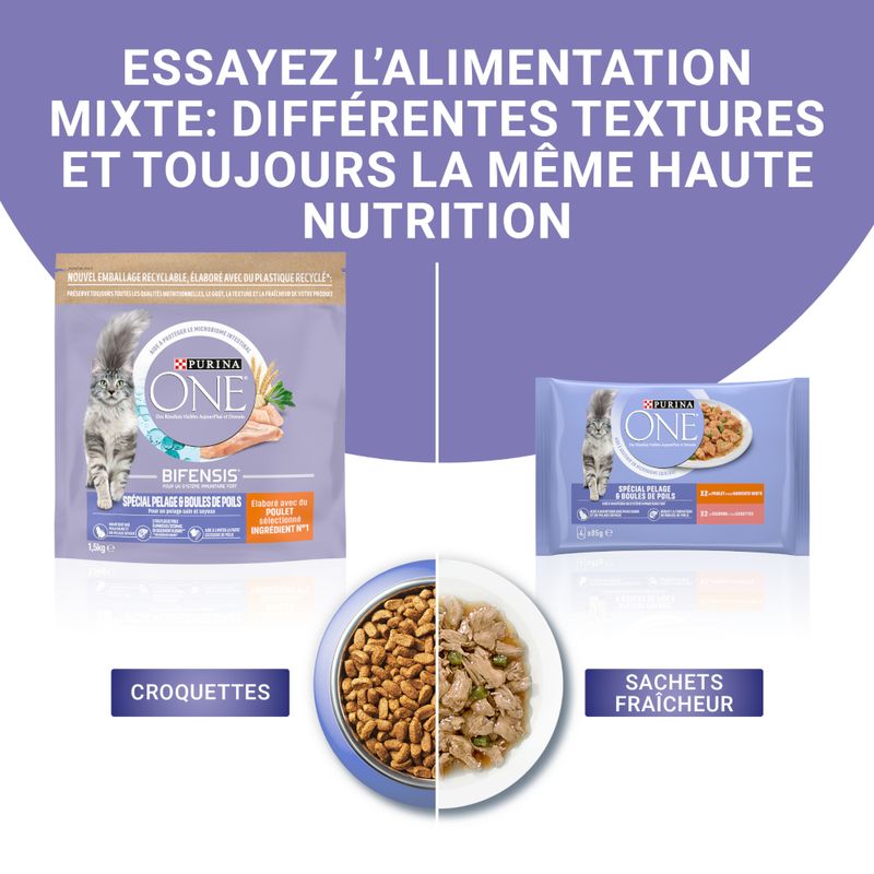 PURINA ONE Pelage & Boules de Poils
