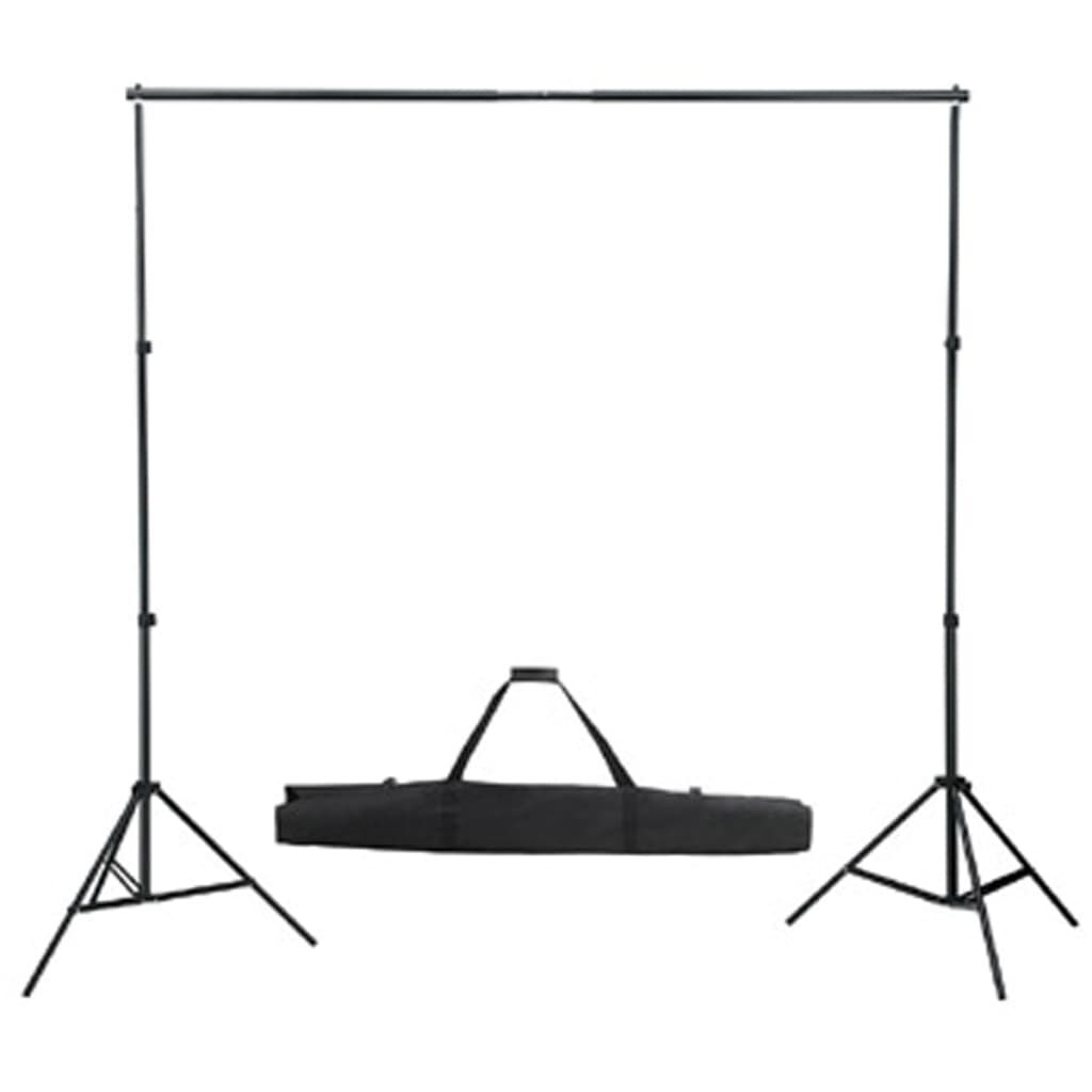 vidaXL Achtergrond ophangsysteem met witte achtergrond 300 x 300 cm