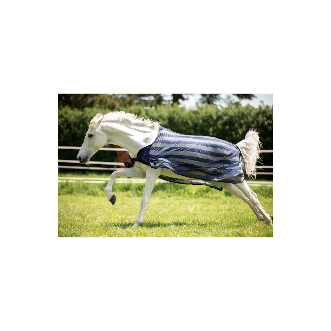 4Horses Fliegendecke Bari 1,35 m