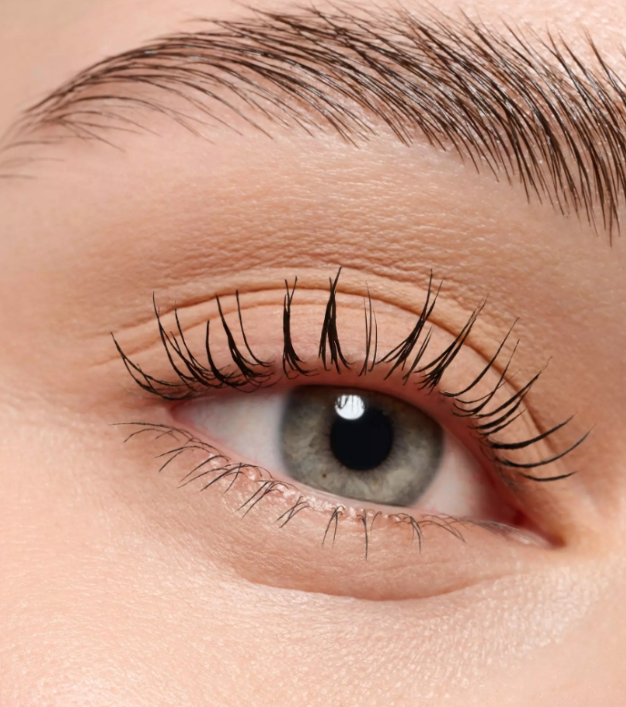 essence - Sombra Monocromática Mate - 02: Neutral Brown