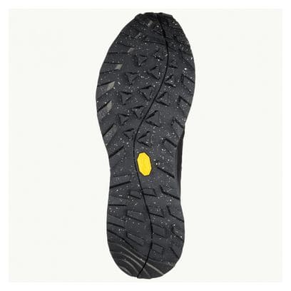 Chaussures de Randonnée Jack Wolfskin Terraventure Texapore Low Gris