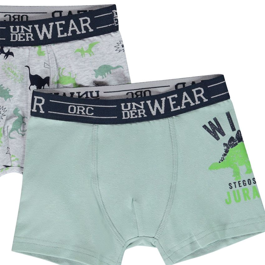 Lot de 5 boxers motifs Wild Dinos pour garçon - Gris chiné