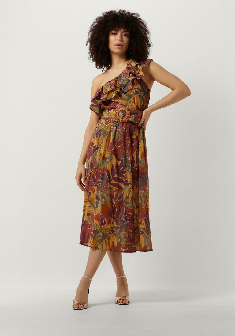 LOUIZON multi louizon midi jurk saguaro