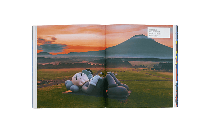 Phaidon Artbook KAWS