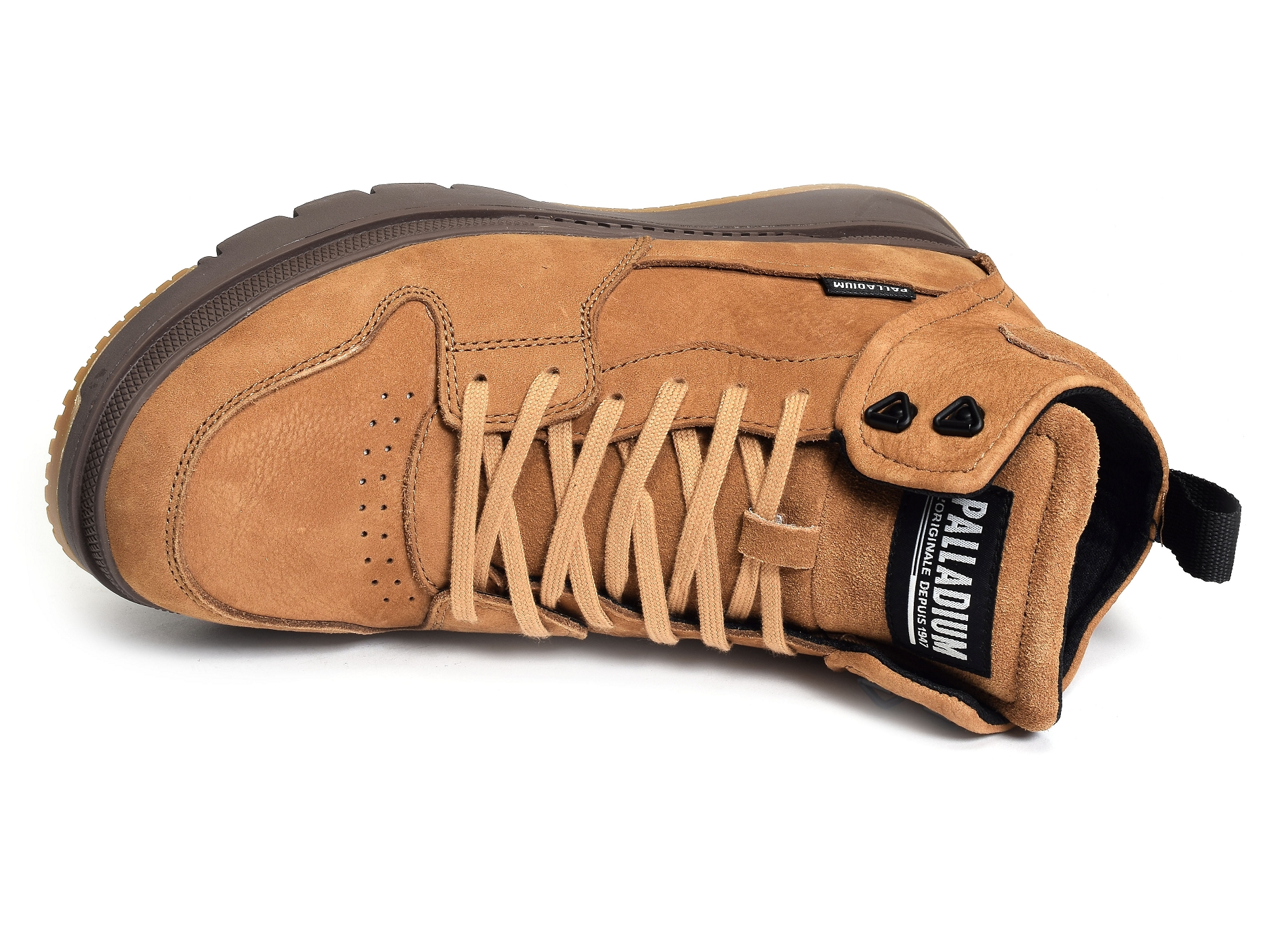 Pallasider hi camel