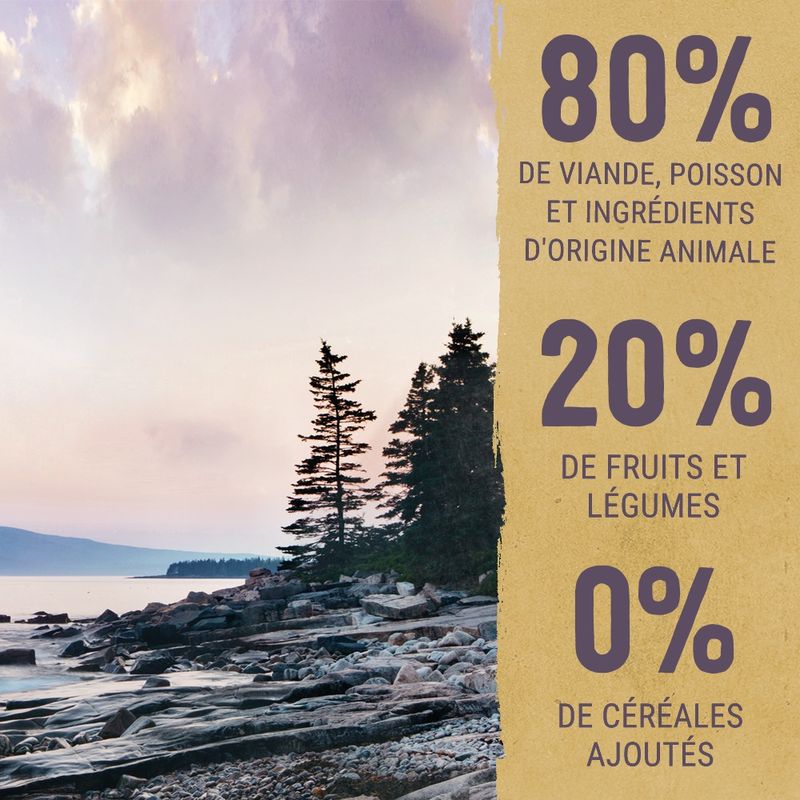 Purizon Senior poulet, poisson - sans céréales