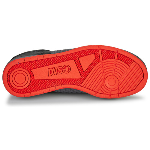 DVS - CELSIUS Gris / Negro / Rojo