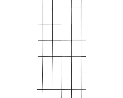 Lafiora ijzeren trellis 75x150 cm antraciet
