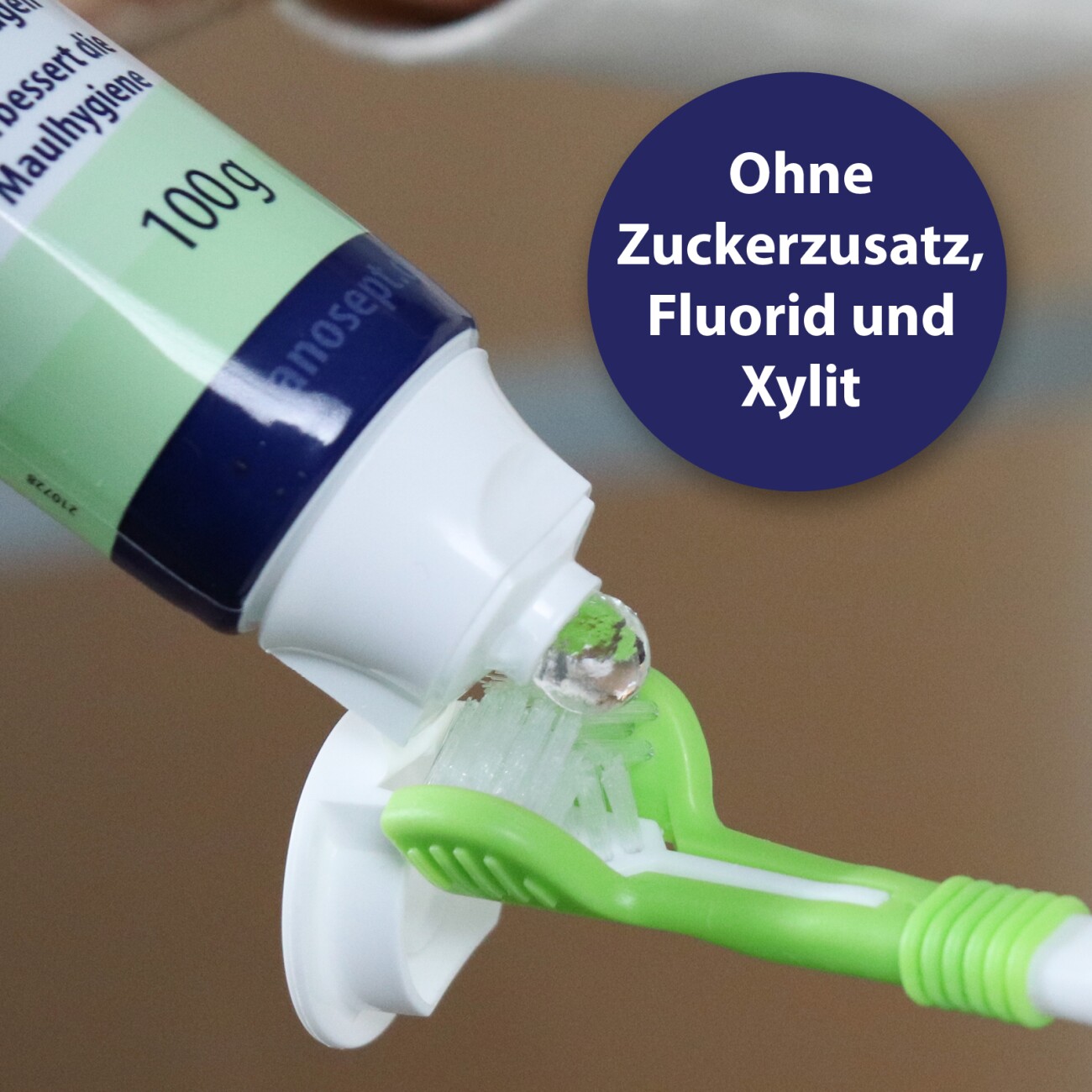 Canosept Zahnpflege Dental Gel für Hunde 100 g
