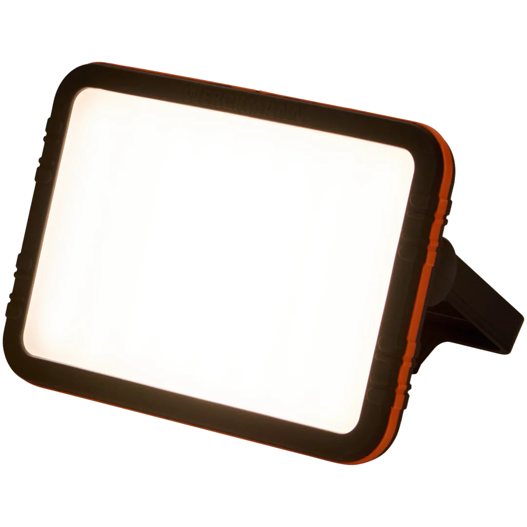 Lampe de travail sans fil Werckmann
