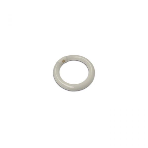 Velleman Lâmpada Fluorescente Circular 22W