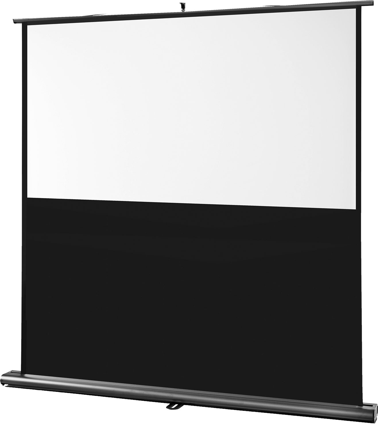 Celexon Ultramobil Professional Leinwand 160 x 100 cm