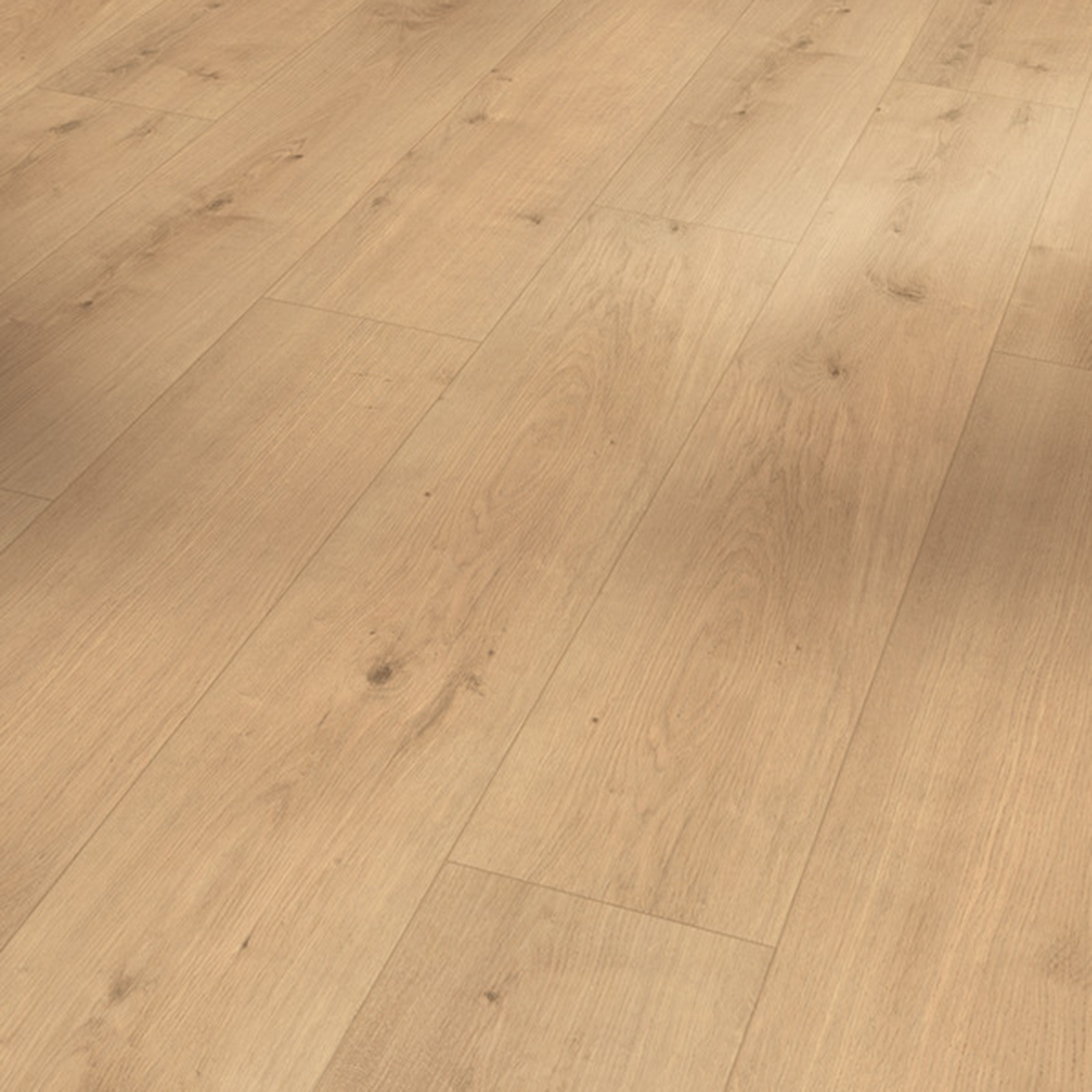 PARADOR Designboden MODULAR ONE - Eiche Pure natur - 8 mm