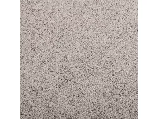 Paillasson Gris 40x60 cm