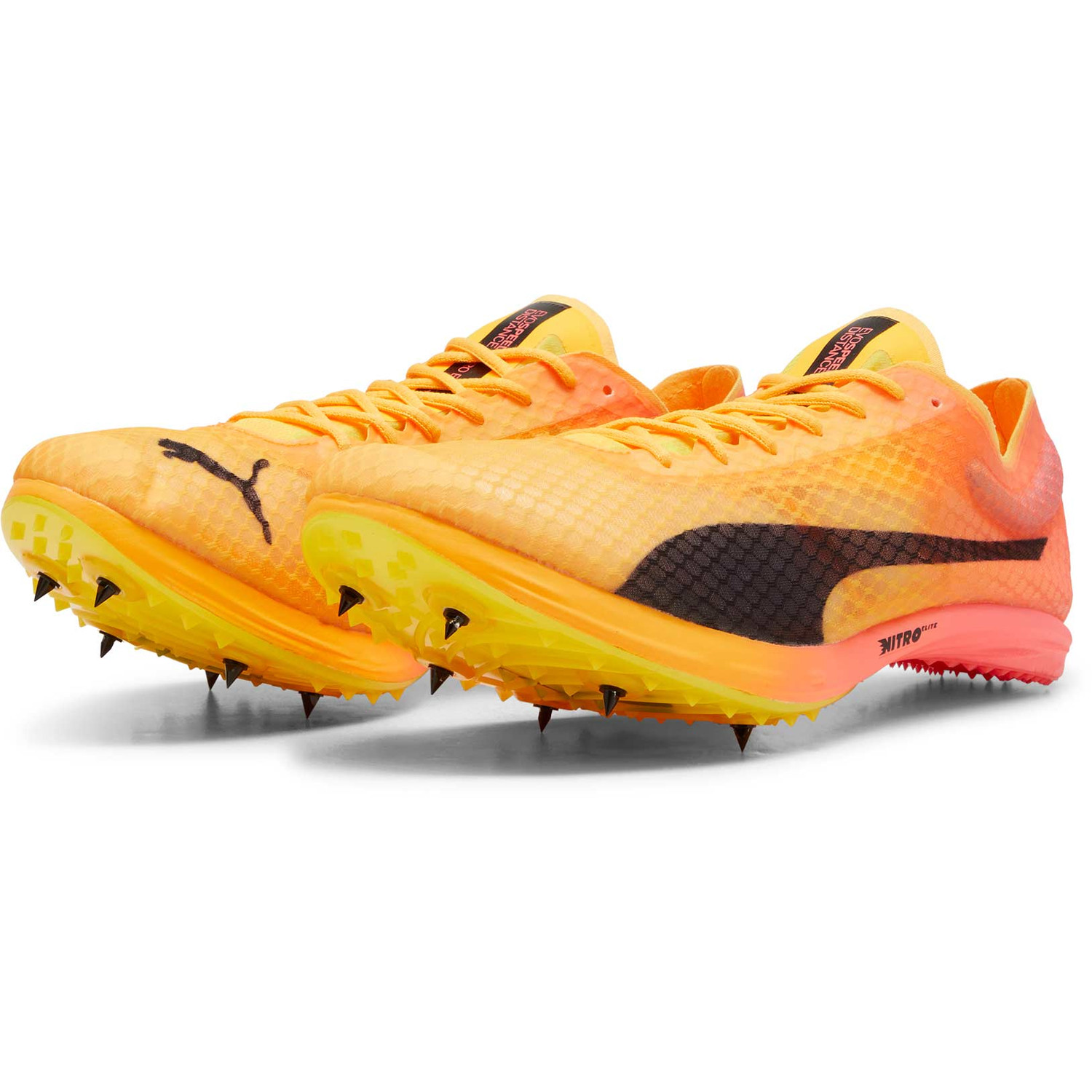 PUMA evoSPEED Distance Nitro Elite+ 4