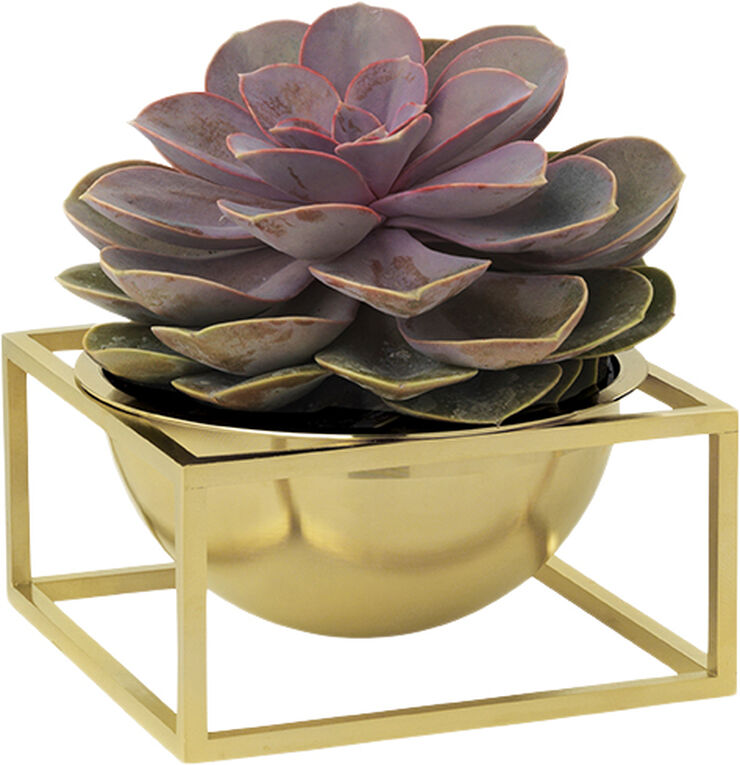 Audo Copenhagen Bowl centerpiece - Small Gold Plate Brass