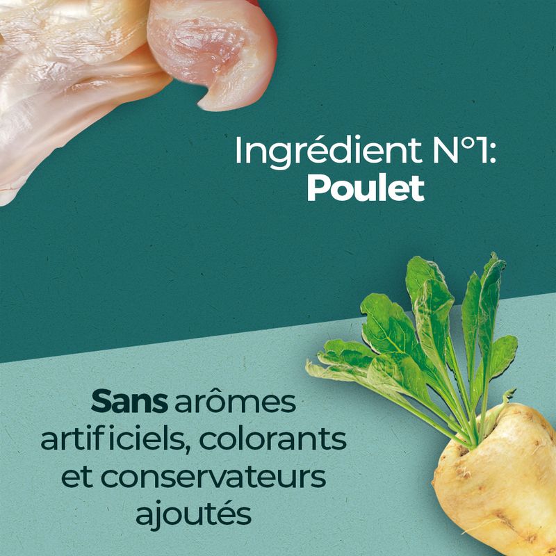 PURINA ONE Dual Nature Adulte poulet, spiruline