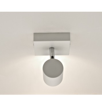 GAMMA opbouwspot Genua 1-lichts mat wit
