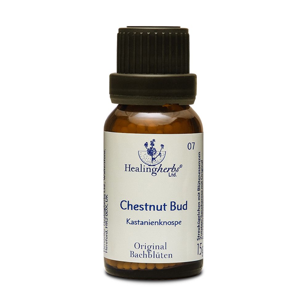 Healing Herbs Chestnut Bud Original Bachblüten Globuli