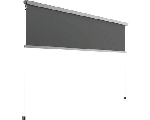 Verticale zonwering, lichtdoorlatend, frame RAL 9011 grafietzwart, geschikt voor pergolazonwering 2,94 x 3,94