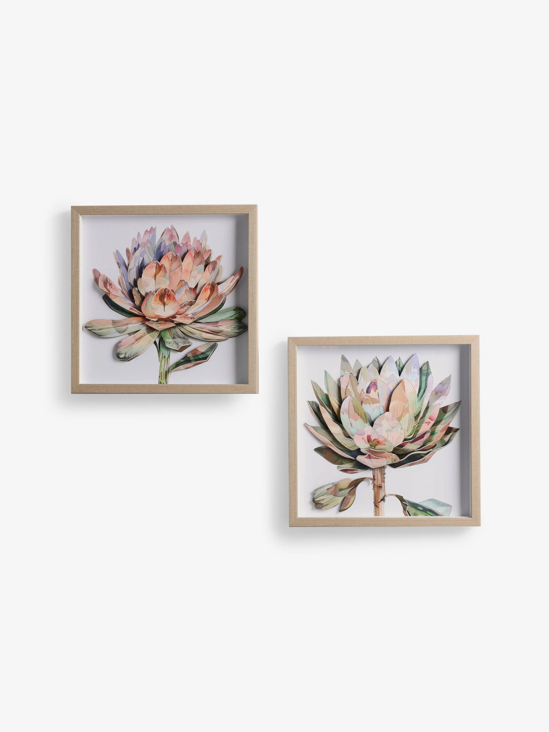 Set van 2 3D bloemenprint Protea wanddecoratie