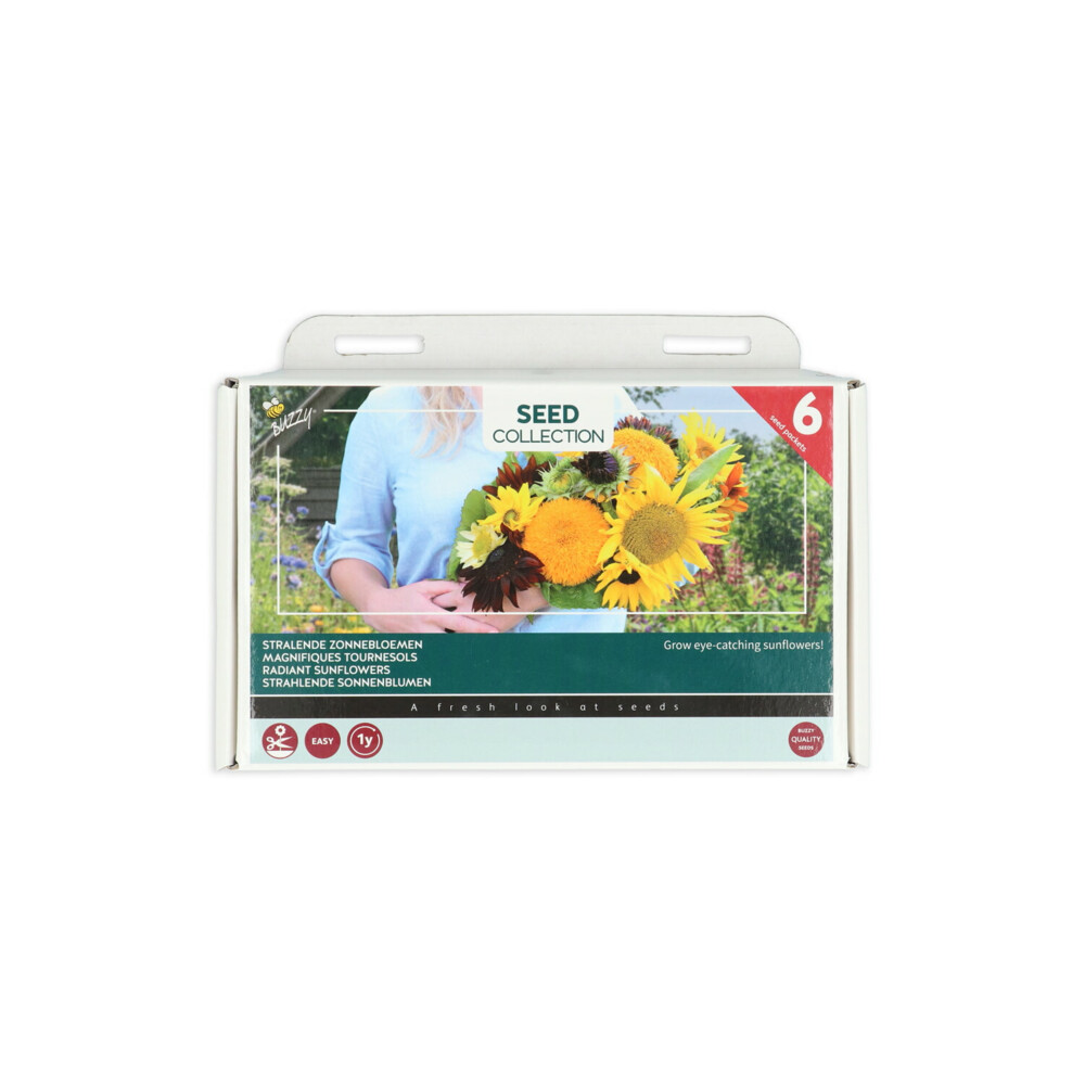Buzzy Collection Kweekset 6 Stralende Zonnebloemen1 set