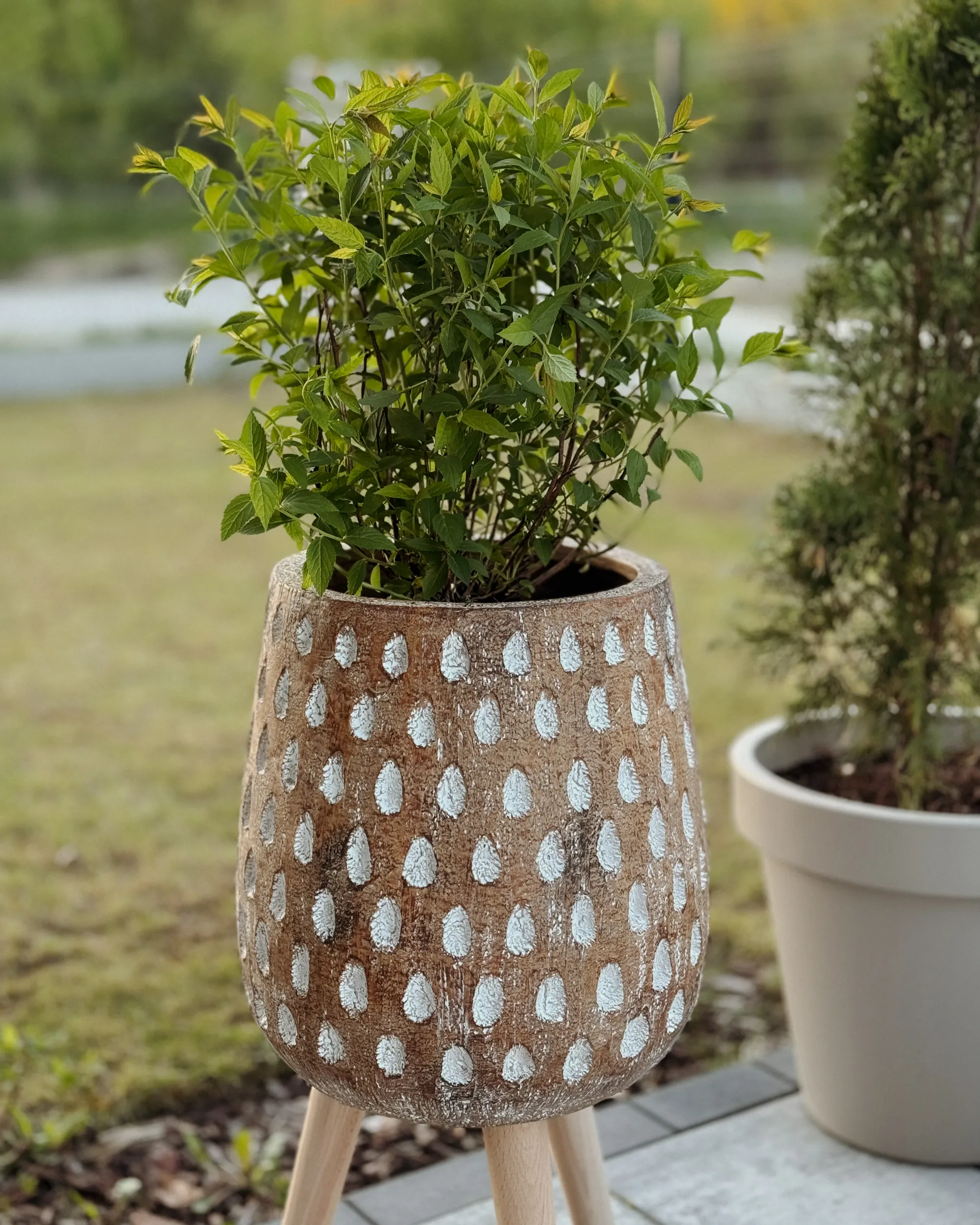 Verhoogde bloempot ASCLEPIAS 27 cm Lichtbruin