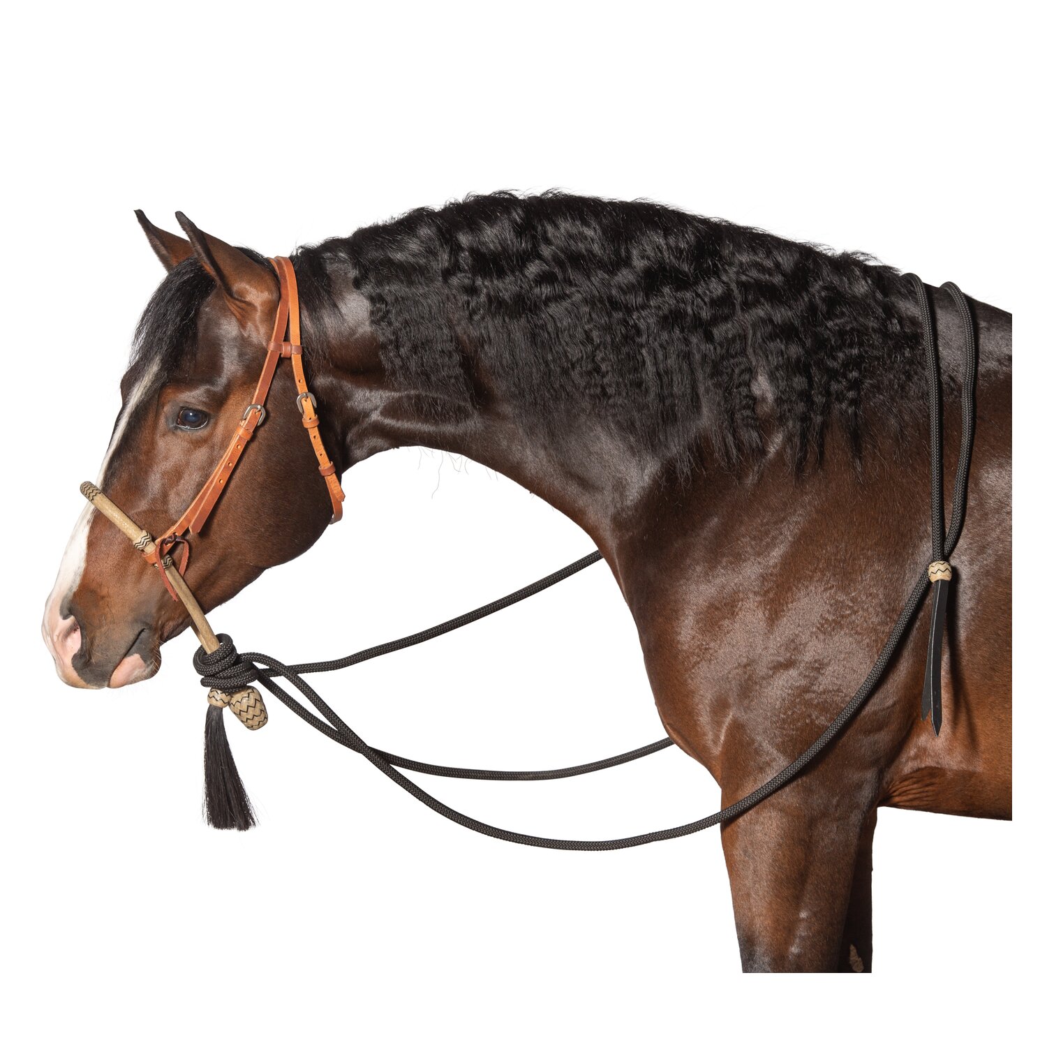Passion 4Q Bosal Set  - lightbrown - Cob