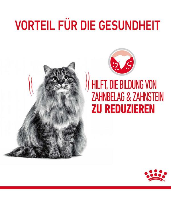 ROYAL CANIN® Trockenfutter für Katzen Dental