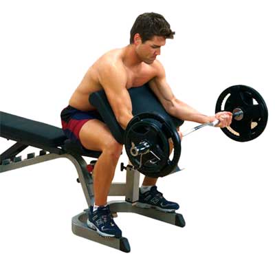BODYSOLID Option Pupitre Biceps