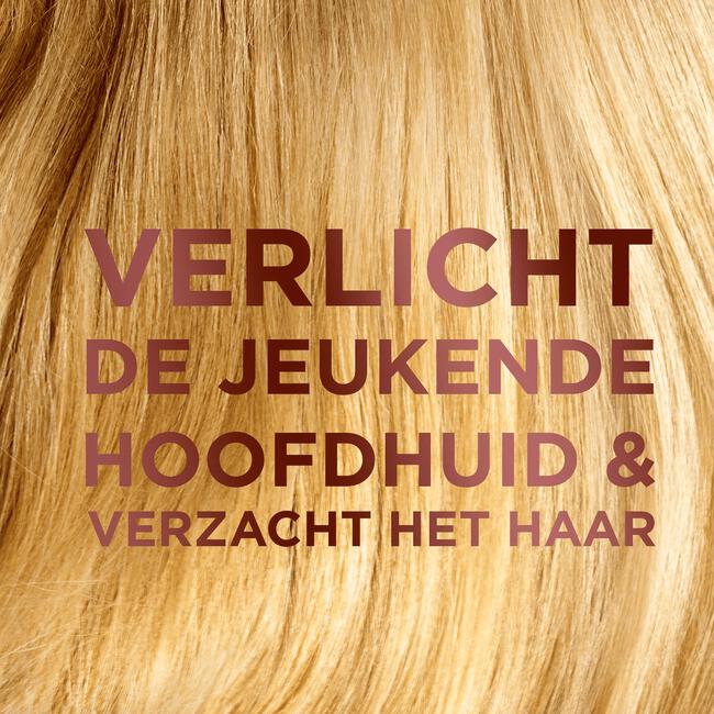 Garnier Loving Blends Shampoo Milde Haver 300 ML