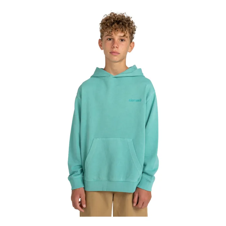 Element Sweat Capuche Cornell | Turquoise