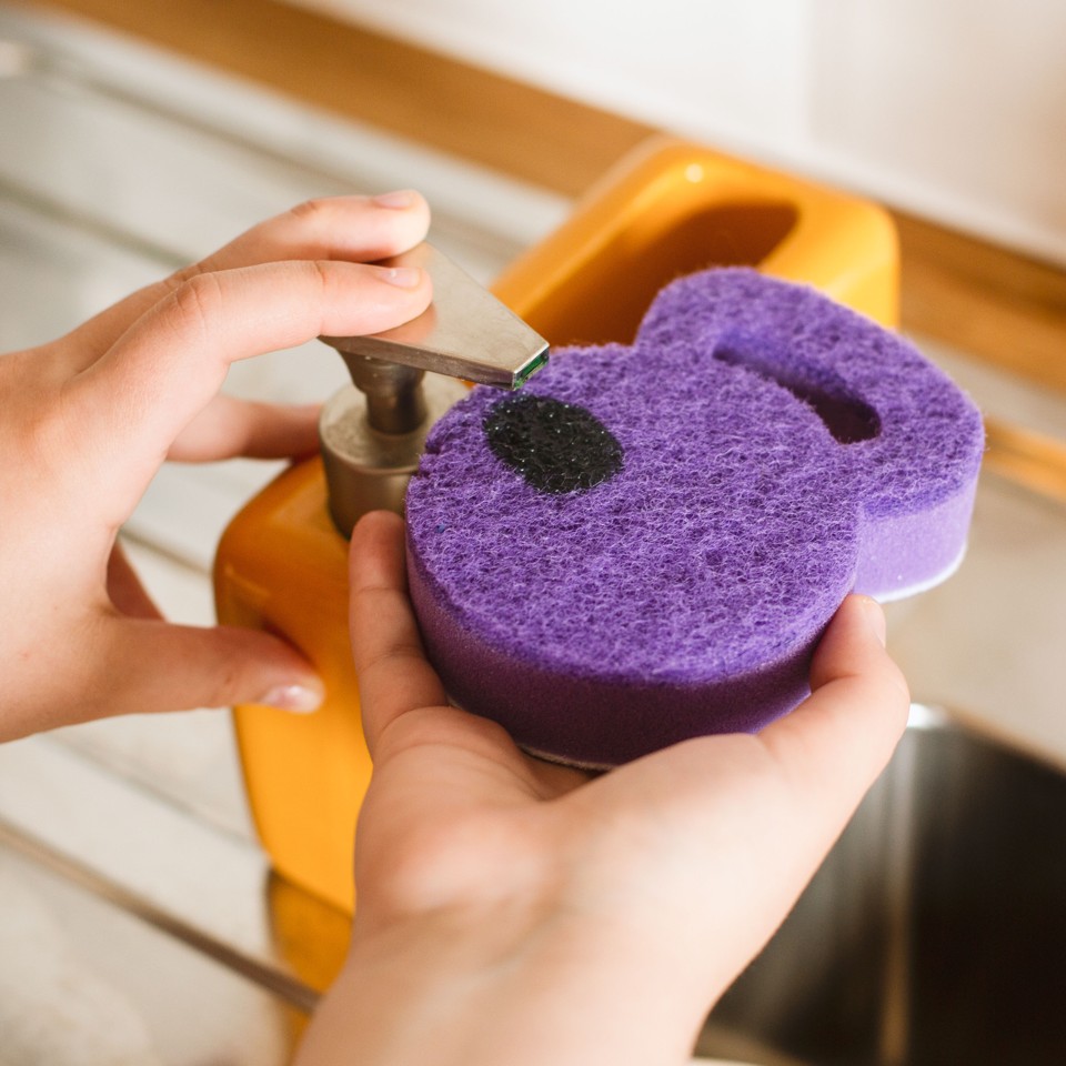 Wash 'n' Workout Sponges Set of 2, with Scourer