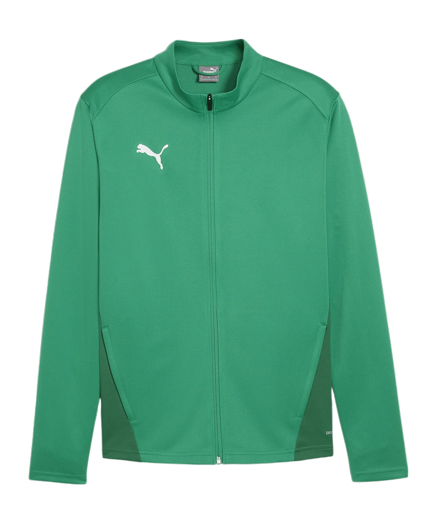 PUMA teamGOAL Trainingsjacke Grün F05