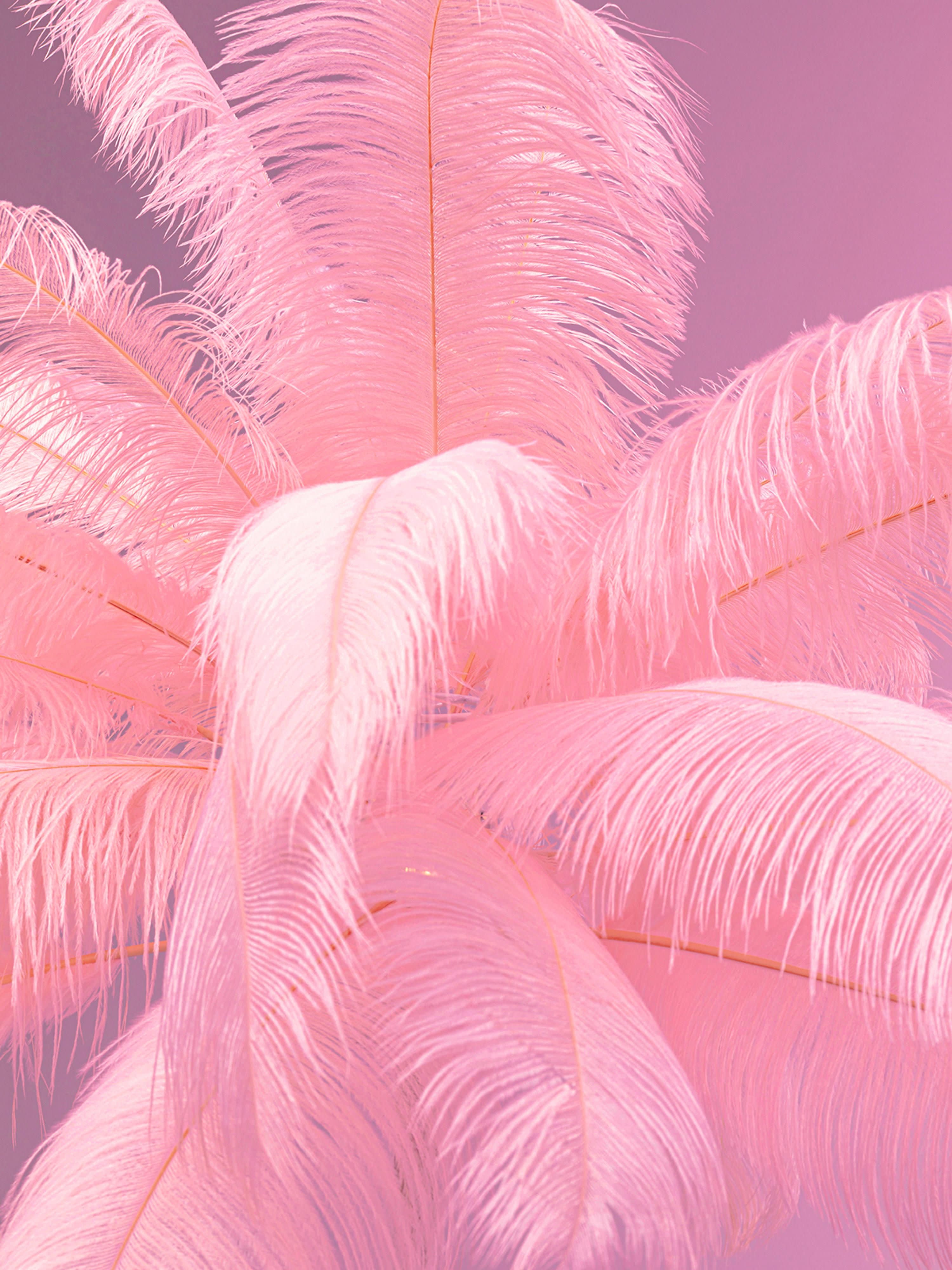 Vloerlamp Feather Palm