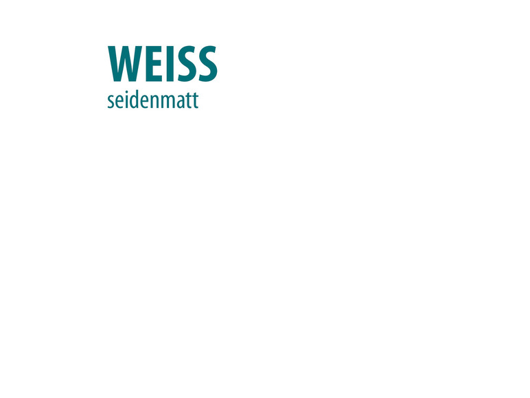 Professionele gevelverf Plus 10 liter