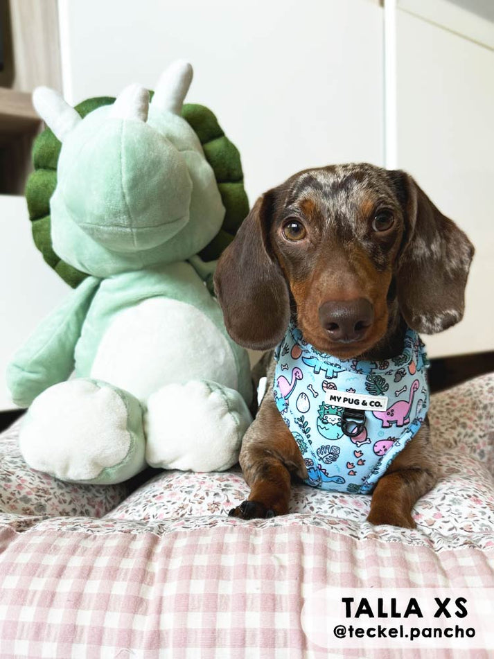 Coleira ajustável Doggysaurus