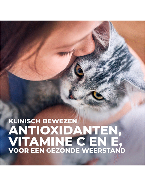 Hill's Sterilised Kitten Kip - Kattenvoer