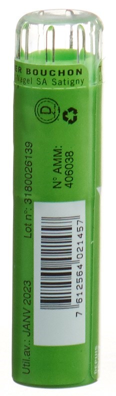 SCHMIDT-NAGEL Rhus Toxicodendron Gran 9 CH 4 g