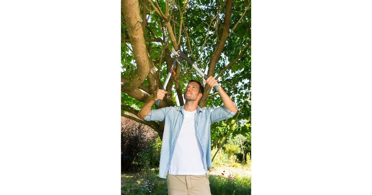 GARDENAComfort hefboomtakkenschaar SmartCut  (Grijs/turquoise, 8773-20)