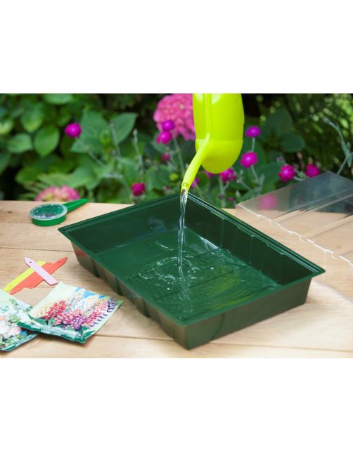Nature Kweekbakset - Kweekbakken - 23.5x35x11 cm Groen Transparant