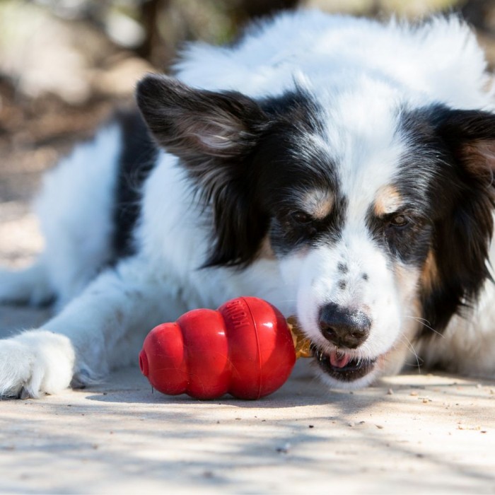 Friandises Stuff'n snacks adult KONG