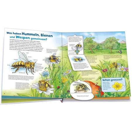 Tessloff WAS IST WAS Junior Band 34 - Bienen, Wespen, Hummeln
