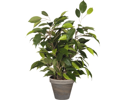 Kunstplant Ficus natasja (treurvijg) Ø 30 H 40 cm groen