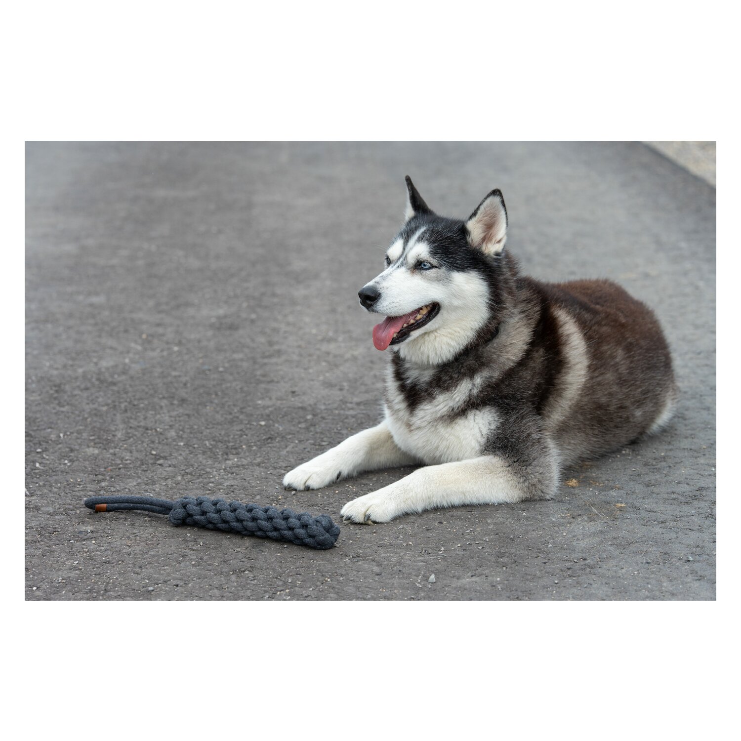 pawberry Baumwoll-Dummy geflochten  - grau