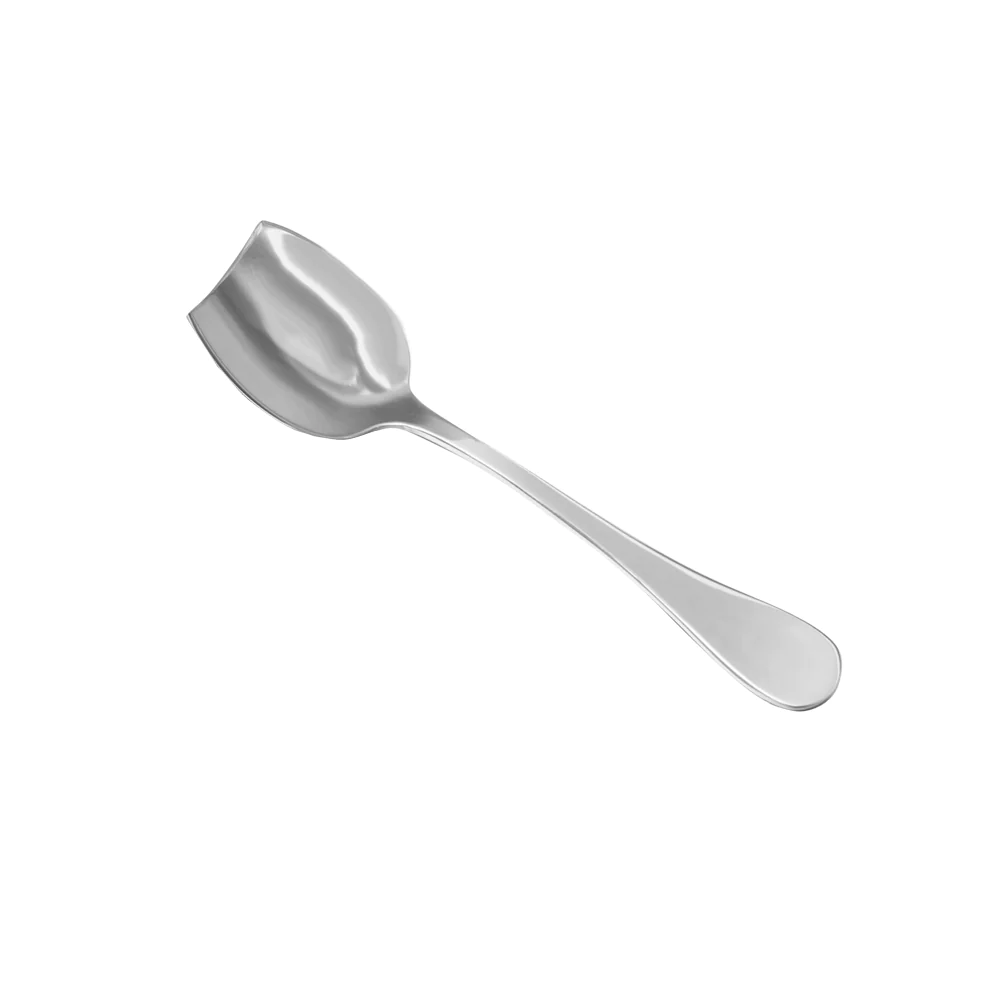 Cuillère à glace Rocco en inox 18/10 (lot de 6) Table passion