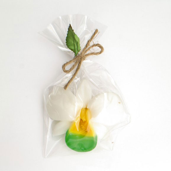 Schwimmkerze 'Orchidee', weiß, multicolor, Ø 8 cm von fischer's lagerhaus