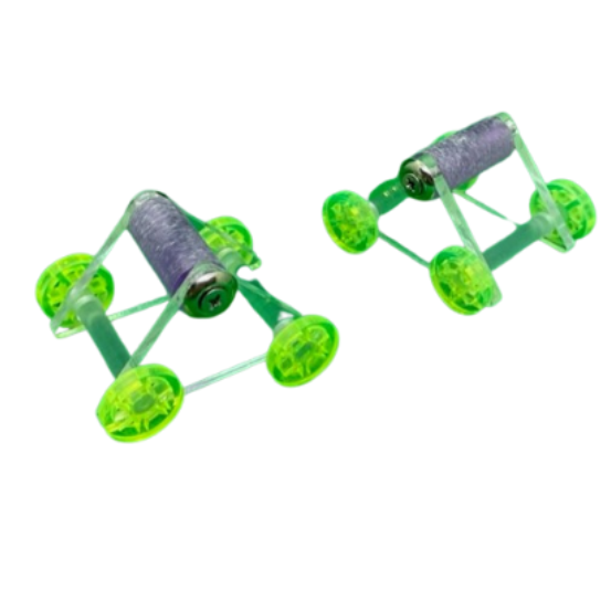 Jouet pour perroquet, perruche, oiseaux exotiques skate small
