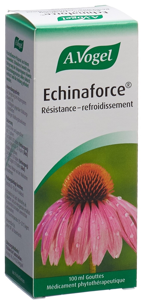VOGEL Echinaforce Resistenz Erkältung Tropfen Fl 100 ml