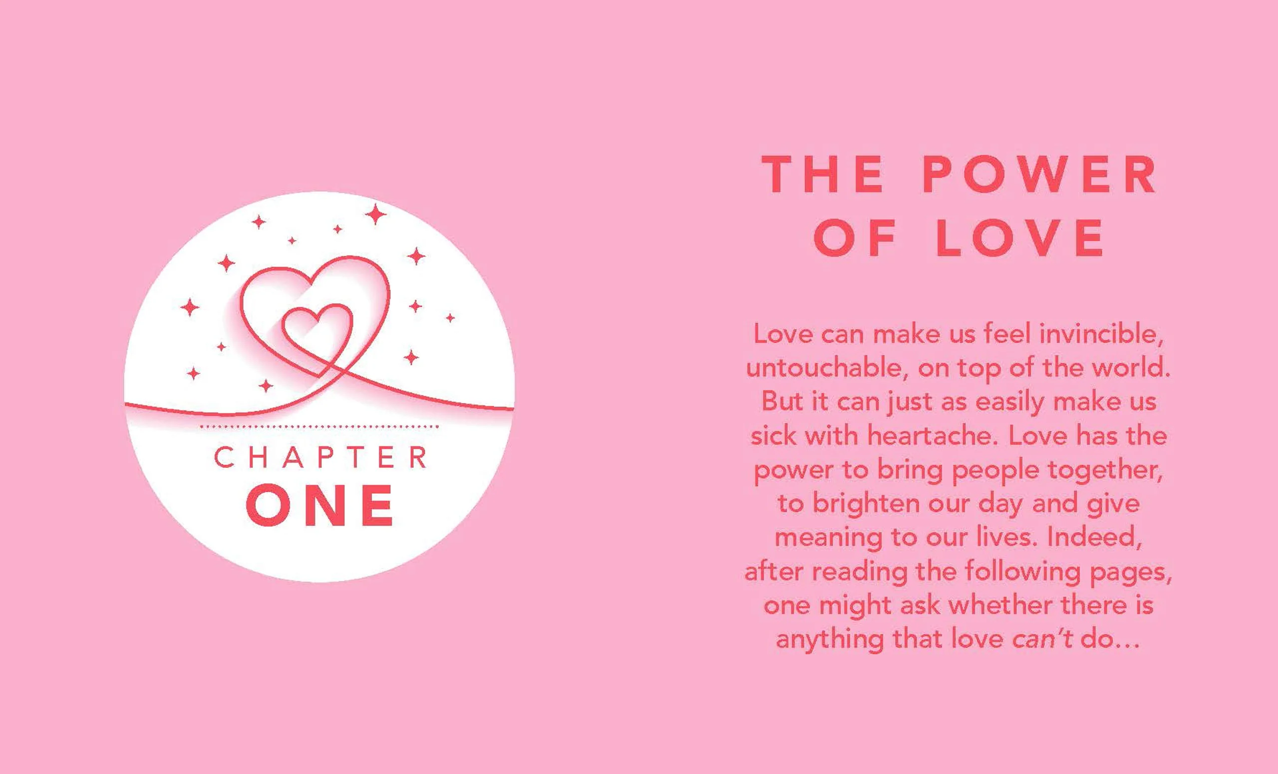 New Mags  The Little Book Of Love bog
